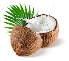Coconut