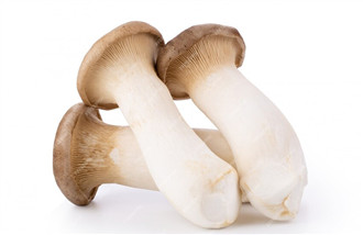 King oyster mushroom